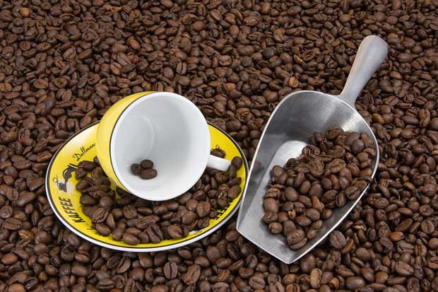 Sind Kaffeemaschinen mit Pads besser als welche mit Brühkaffee?