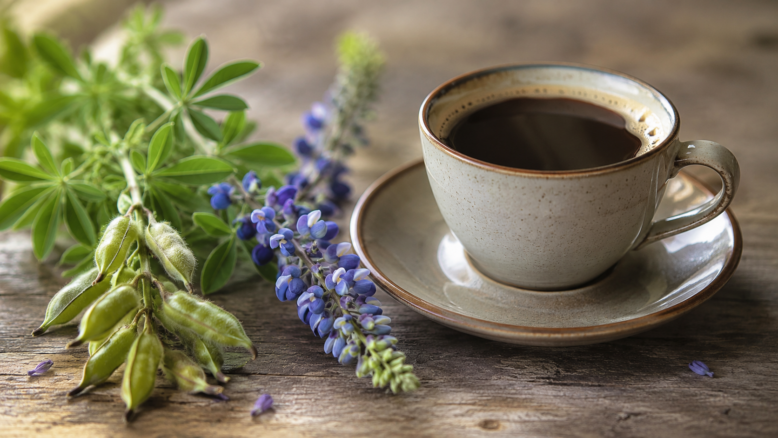 Lupinenkaffee [Bildinhalt mit KI erstellt]